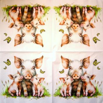 080 Pigs - 3-ply - Nouveau